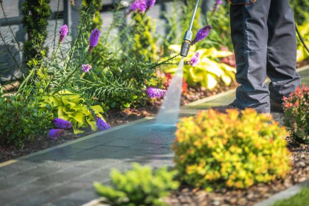 Professional Pressure Washing Services in Gaylord, MN