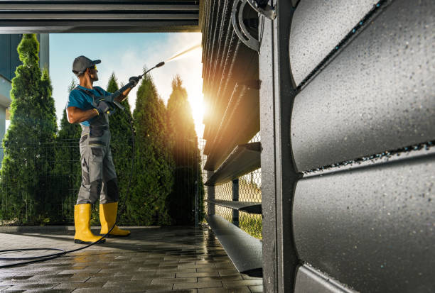 Best Sidewalk and Walkway Cleaning  in Gaylord, MN